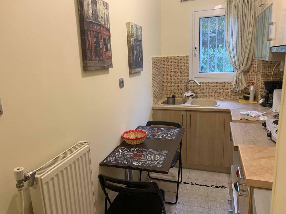 La Vie En Rose Studio,Close To Beach, Paleo Faliro Athens Luaran gambar
